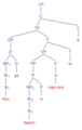 Indirect gapless passive phrase structure tree