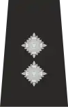 Isle of Man Police Inspector Epaulette