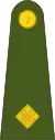 Second-lieutenant(Irish: Dara-lefteanant)(Irish Army)