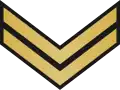 Petty officer(Irish: Mion-oifigeach)(Irish Naval Service)