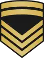 Ard-mhion-oifigeachIrish Naval Service