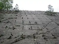 Iron in the concrete of Weingut I