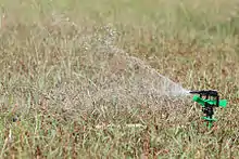 An oscillating sprinkler watering a lawn