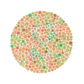 Ishihara Plate No. 29  (a line can be traced by many of those with red–green color blindness, but not by those with normal color vision)[improve caption]