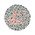 Ishihara Plate 23