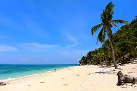 A white sand beach at Antonia Island