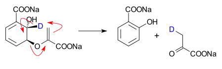 Isochorismate pyruvate lyase converts isochorismate into salicylate and pyruvate