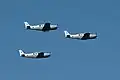 Beechcraft Bonanzas of 100 Squadron, flying over Israel in 2023 on Independence Day
