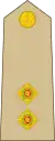 Lieutenant(Jamaican Army)