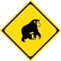 Watch for large animals (monkey)