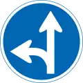 Only straight ahead or left turn permitted