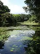 Botanical Garden of Medellín