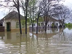 Flood in Jaša Tomić in 2005