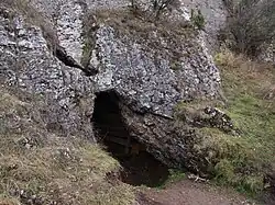 Entrance to the cave