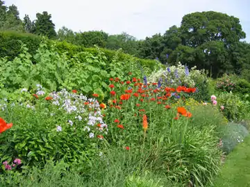 Jekyll's restored long border at Upton Grey Manor House, Hampshire