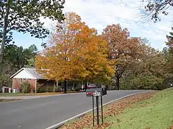 Josephine Street in the fall