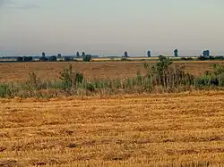 Landscape in Călărași County