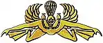 Subversive reconnaissance amphibian parachutist badge of Taifib