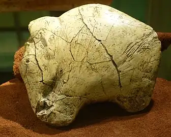 26,000 year old mammoth carving from Predmosti, Czech Republic