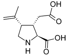 Stereo, skeletal formula of kainic acid