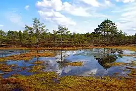 Kakerdaja Fen, Estonia