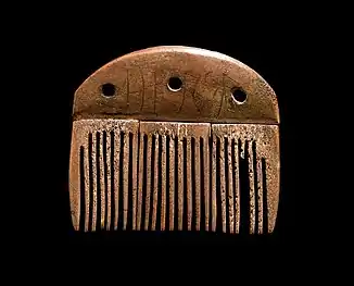 The world's oldest runic inscription (160 AD) on the Vimose comb, Denmark