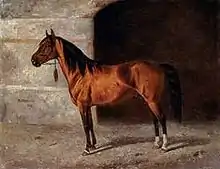 Painting of a bay stallion