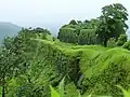 Karnala Fort in rainy season