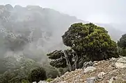 Landscape in Katharo plateau