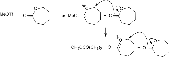 Polymerization of ε-caprolactone initiated by methyl triflate