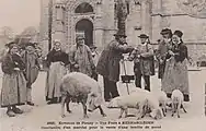 Sale of pigs (old postcard).