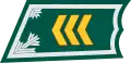 Kersantti(Finnish Army)