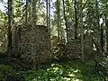 Ruins of an old manor (built in early 1800s).