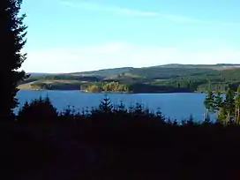 Kielder Forest