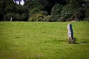 Kilmashogue standing stones