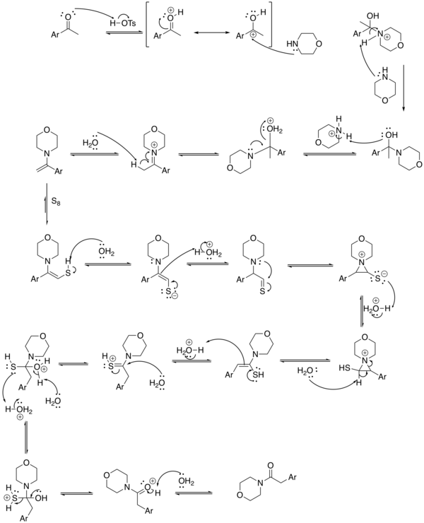 The likely reaction mechanism for the Kindler modification.