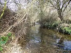 Kingston Brook at East Leake