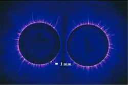 Kirlian photo of two coins.