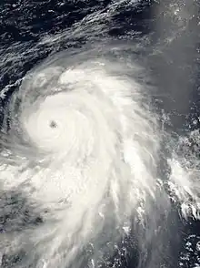 Satellite image of a large, well-organized typhoon with extensive cloud bands to the southeast of its eye.