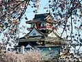 Kiyosu Castle and Sakura