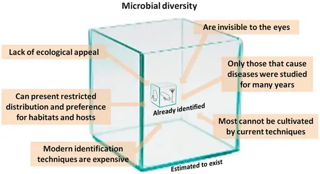 Microbial diversity Comparative representation of the known and estimated (small box) and the yet unknown (large box) microbial diversity, which applies to both marine and terrestrial microorganisms. The text boxes refer to factors that adversely affect the knowledge of the microbial diversity that exists on the planet.