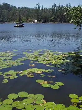 Boats on Kodaikanal lake