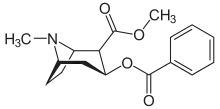 Cocaine, a precursor for anatoxin-a synthesis.