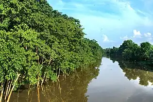 The Kolong river flowing through Nagaon