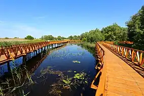 Kopački Rit Nature Reserve.