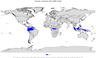 Tropical rainforest climate Region