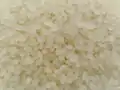 Aromatic japonica rice