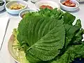 Leaves used for wrapping in ssam dishes