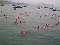 Korean farmers protesting in water