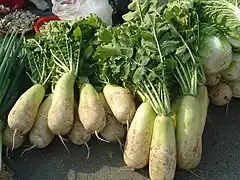 Korean radish